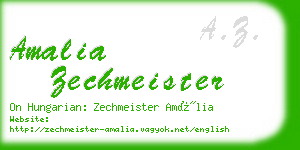 amalia zechmeister business card